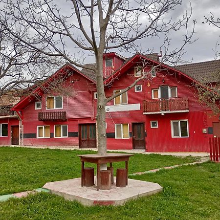 Pensiunea Irina 3 Zărneşti Kültér fotó