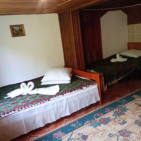 Pensiunea Irina 3 Zărneşti Kültér fotó