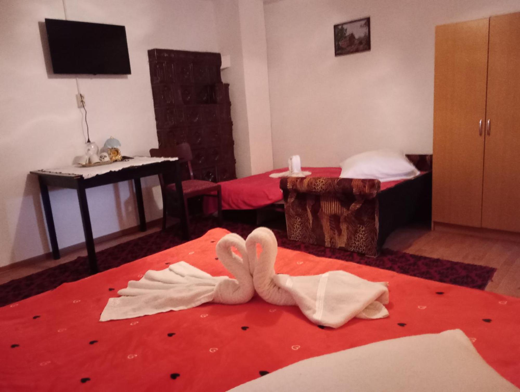 Pensiunea Irina 3 Zărneşti Kültér fotó
