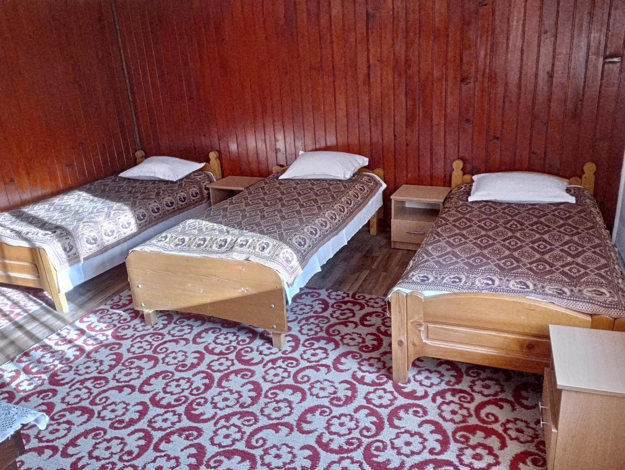 Pensiunea Irina 3 Zărneşti Kültér fotó