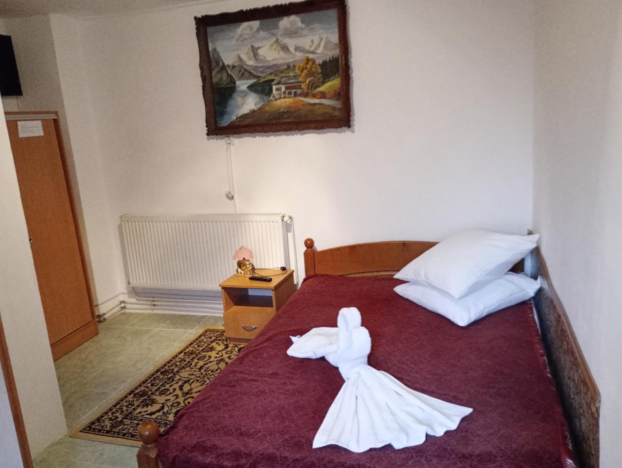Pensiunea Irina 3 Zărneşti Kültér fotó
