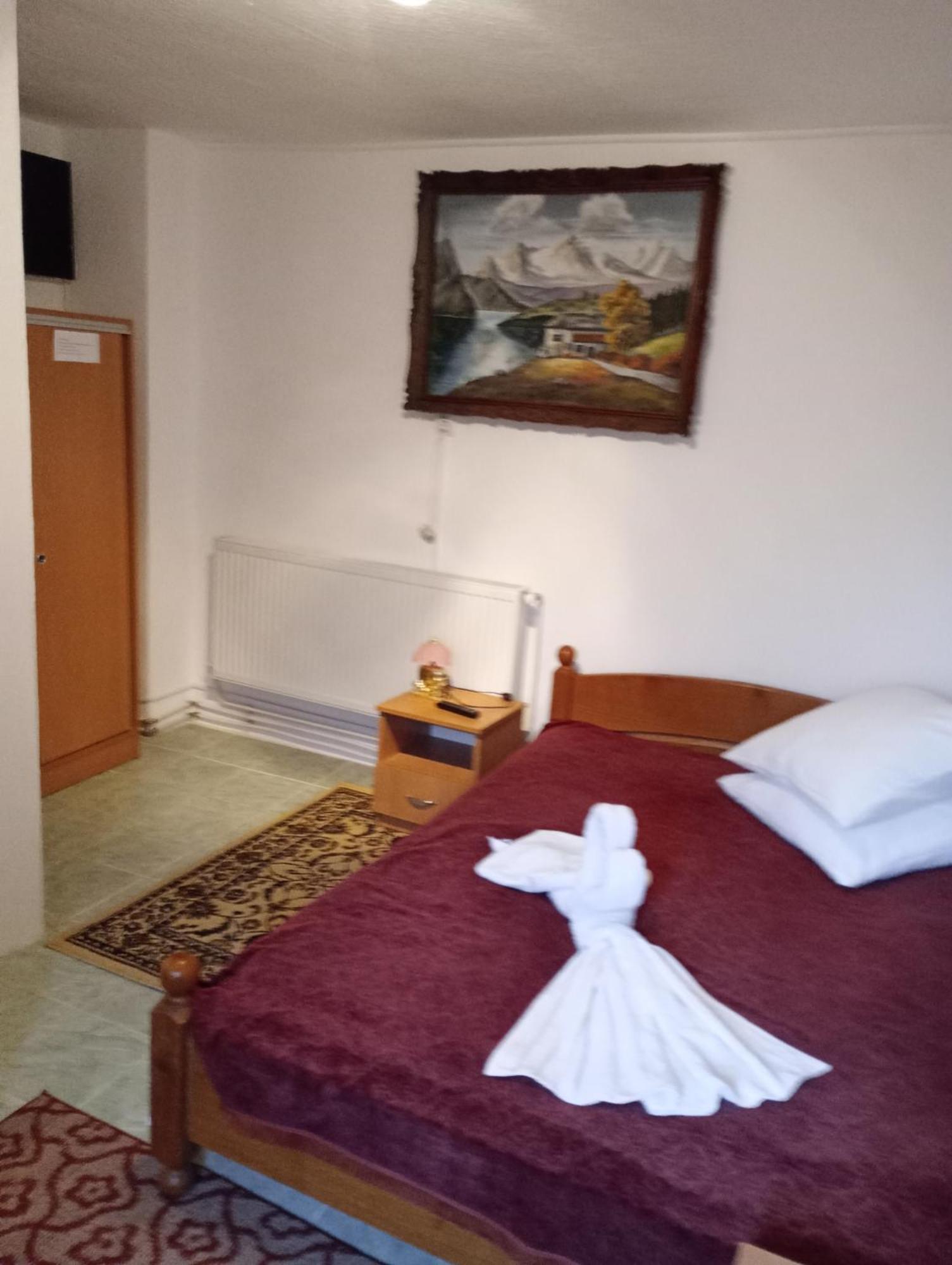 Pensiunea Irina 3 Zărneşti Kültér fotó