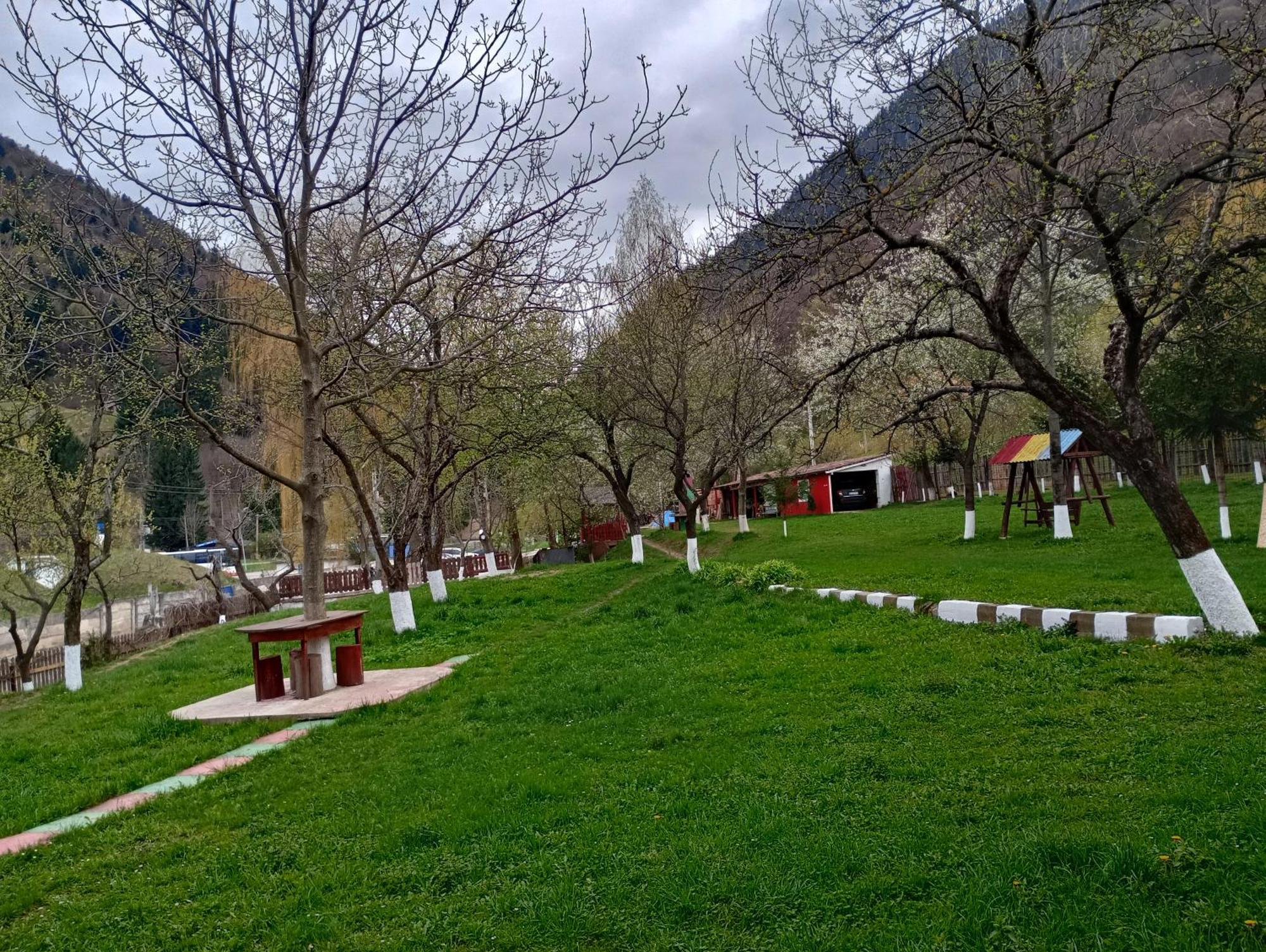 Pensiunea Irina 3 Zărneşti Kültér fotó